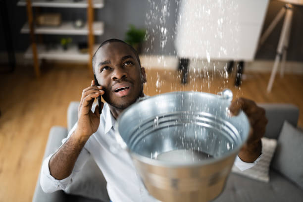 Best Basement water damage restoration  in South Jacksonvle, IL