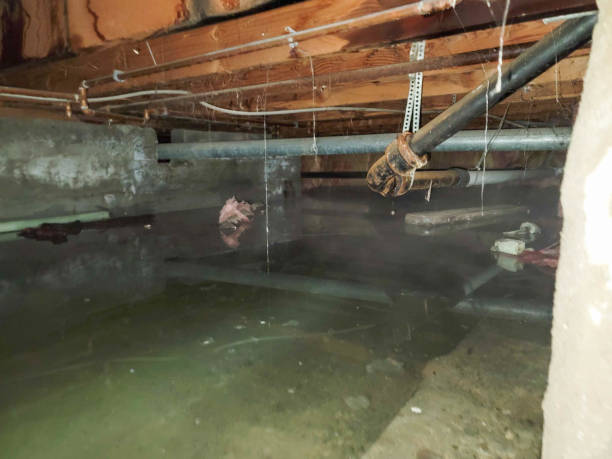 Best Ceiling water damage repair  in South Jacksonvle, IL
