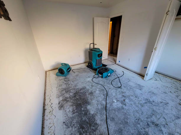 Best Water damage restoration near me  in South Jacksonvle, IL