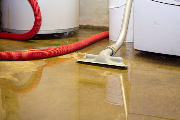Best Water damage contractors near me  in South Jacksonvle, IL