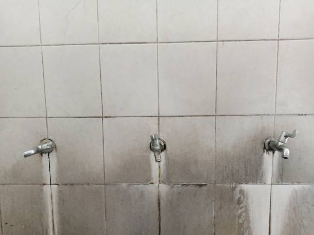 Best Fire Damage Restoration  in South Jacksonvle, IL
