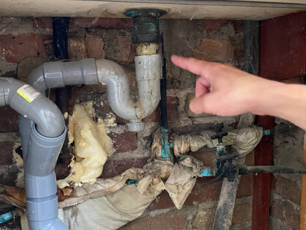 Best 24/7 water damage repair  in South Jacksonvle, IL