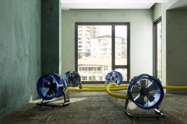 Best Residential water damage restoration  in South Jacksonvle, IL