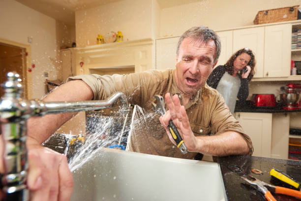 Best Fire Damage Restoration  in South Jacksonvle, IL